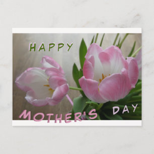 Deux belles tulipes roses carte postale Fête des m