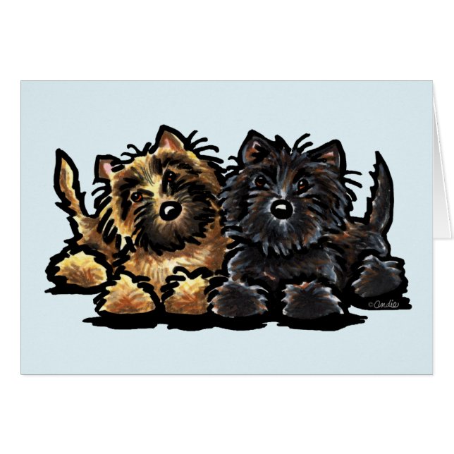 Deux Cairn Terriers (Devant horizontal)