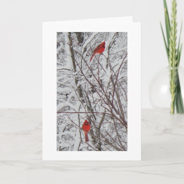 Deux Cardinaux Bordure Blanche 5x7 Carte de Noël (Devant)