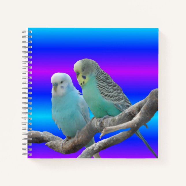 Deux Carnet Bute Budgerigar (Devant)