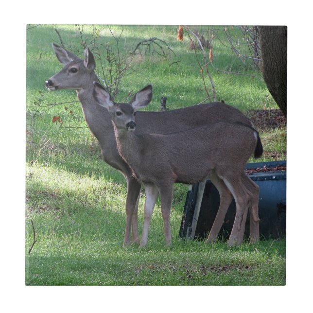 Deux carreaux en céramique de cerf noir (Devant)