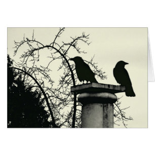 Deux carte des merles 5x7