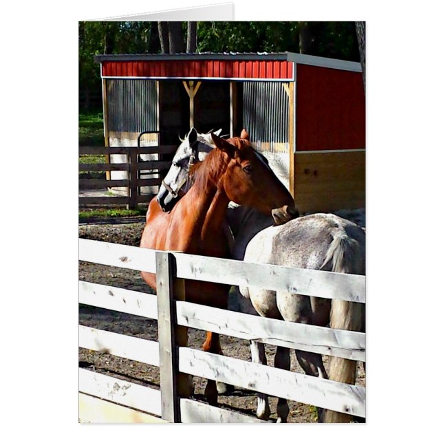 Deux chevaux dans l'amour (Devant)