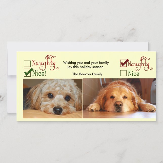 Deux chiens modèle photo de carte de Noël (Devant)