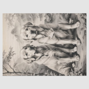 Deux Chiens Retriever Doré Portrait Papier de Soie