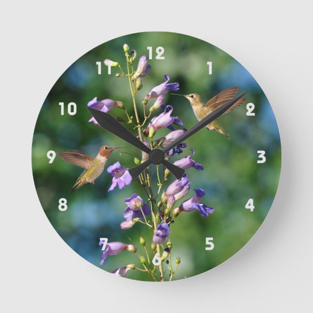 Deux Colibris En Vol Avec Horloge Murale Fleurie (Recto)