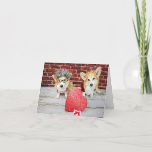Deux Corgis avec la carte de voeux de Candy Valent