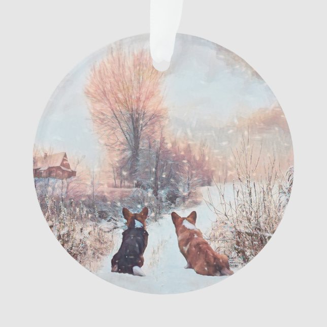 Deux Corgis gallois en neige (devant)