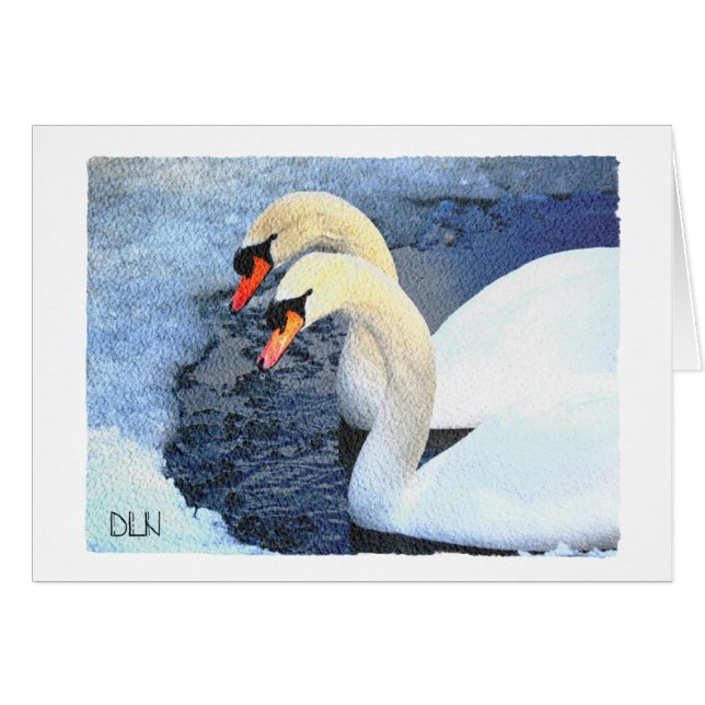 Deux cygnes blancs, la faune et l'aquarelle (Devant Horizontal)