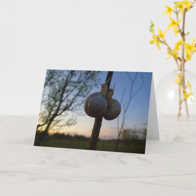 Deux escargots sur une carte à puce (Fleur jaune)