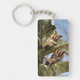 Deux hiboux dans les bois, oiseaux, faune Porte-cl