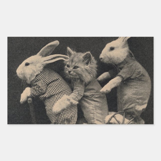 Deux lapins et un chat sur un scooter Sticker (Devant)