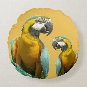 Deux mignons perroquets Coussin rond