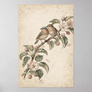 Deux oiseaux chanteurs sur une affiche botanique d