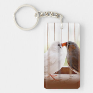 Deux oiseaux pinsons mignons en cage