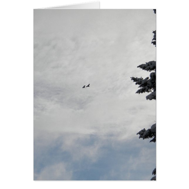 Deux oiseaux volant haut (Devant)