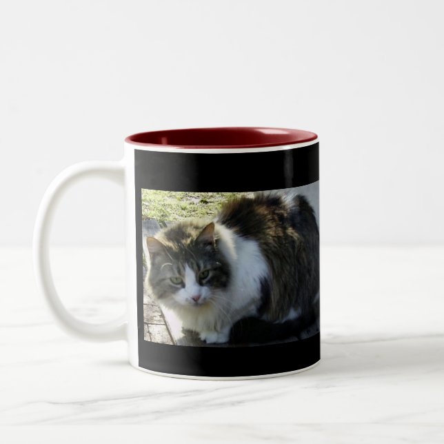 Deux ont modifié la tonalité la tasse de Kitty (Gauche)