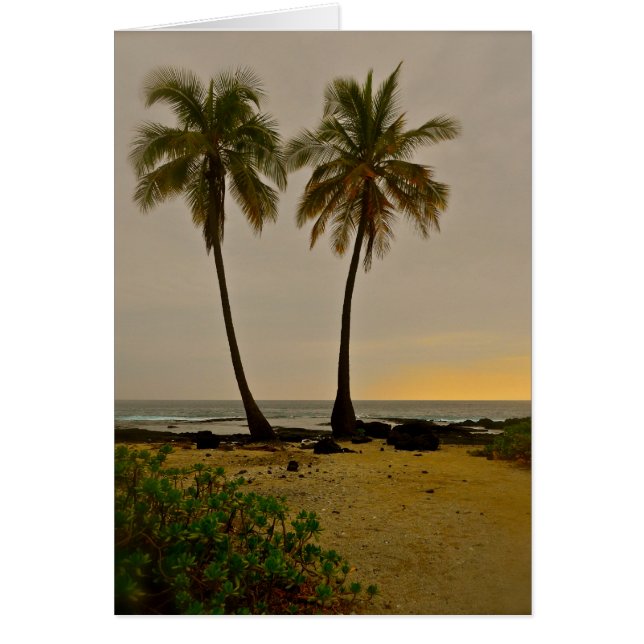 Deux Palmes (Devant)