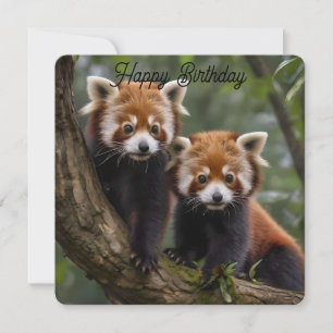 Deux pandas rouges bébé, carte d'anniversaire plat