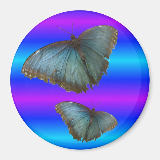 Deux papillons bleu Morpho Magnet bleu néon (Devant)