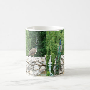 Deux Peacock Garden Photo White Mug