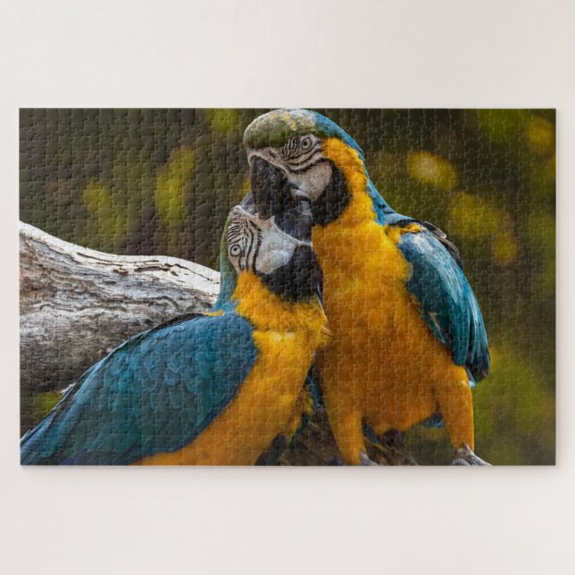 Deux perroquets Oiseaux tropicaux Puzzle (Horizontal)