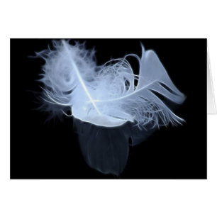 Deux plumes de flamme et réflexion