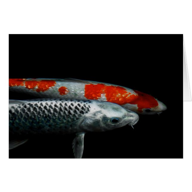 Deux poissons (Devant horizontal)