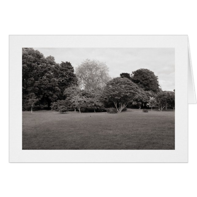 Deux pour Joy (Warm Toned Border) (Devant horizontal)