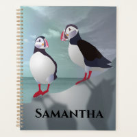 Deux Puffins
