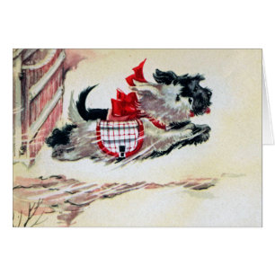 Deux Scotties courants