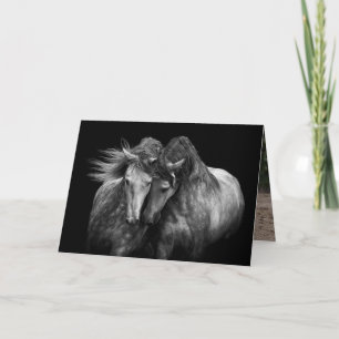 Deux Stallions andalous - Carte de voeux pour chev