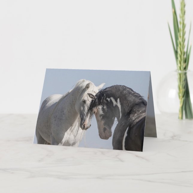Deux Stallions Sauvages - Carte de voeux pour Chev (Devant)