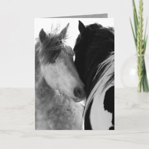 Deux Stallions Wild Horse Carte de voeux