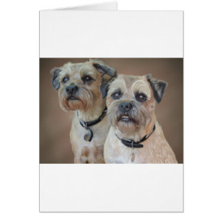 Deux terriers frontaliers