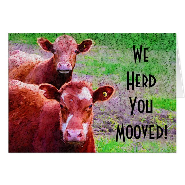Deux vaches nous vous vivons en troupe Mooved ! (Devant horizontal)