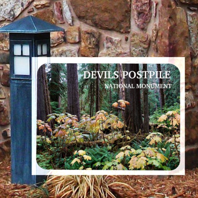 Devil's Club, Devils Postpile National Monument Magnet (Von Creator hochgeladen)