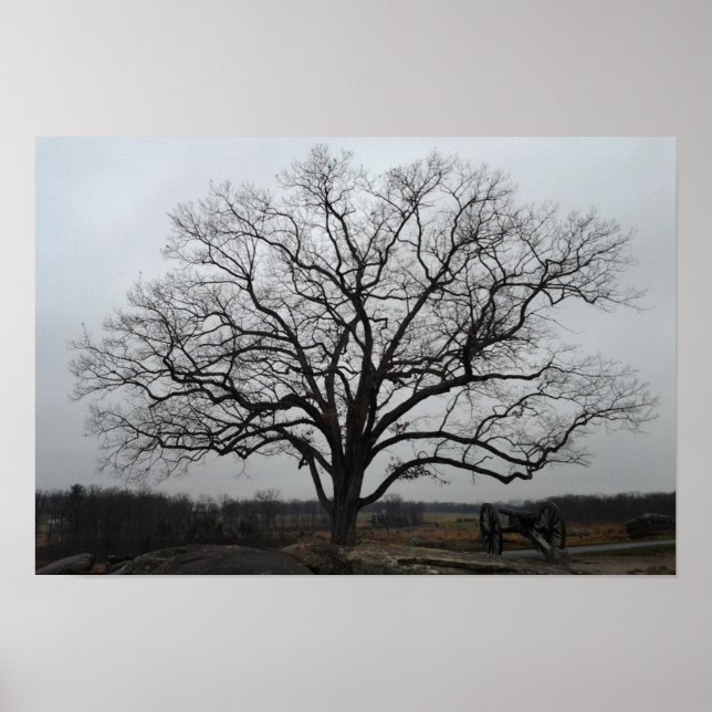 Devils Den Tree Poster (Vorne)