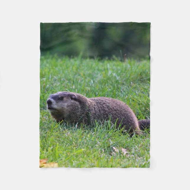 Devil's Hole Digger Fleecedecke (Vorderseite)