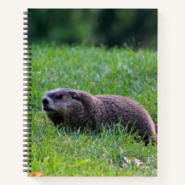 Devil's Hole Digger Notizbuch (Vorderseite)