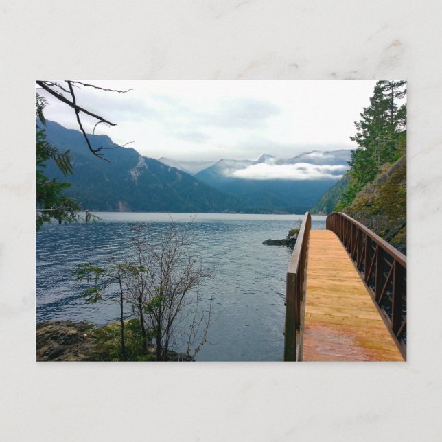 Devils Punch Bowl Olympic National Park Postkarte (Vorderseite)