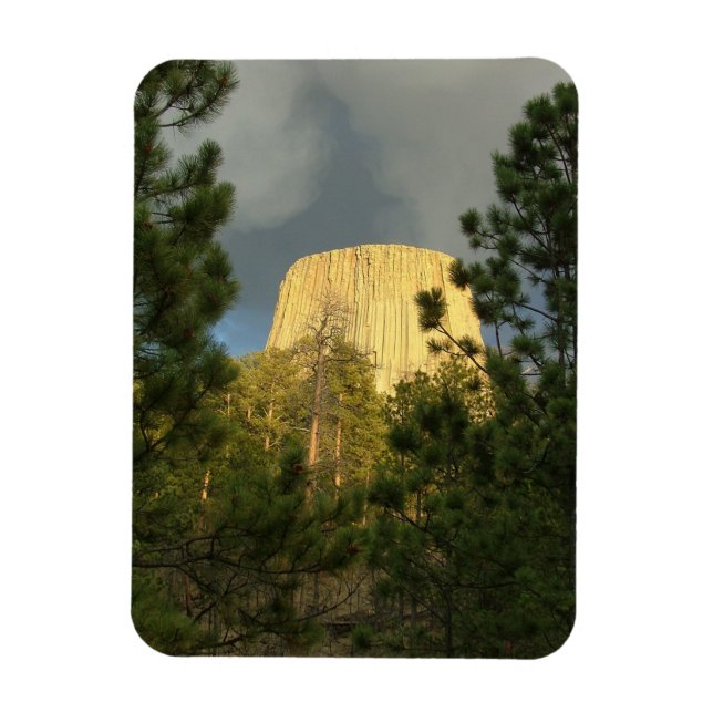 Devils Tower Magnet (Vertikal)