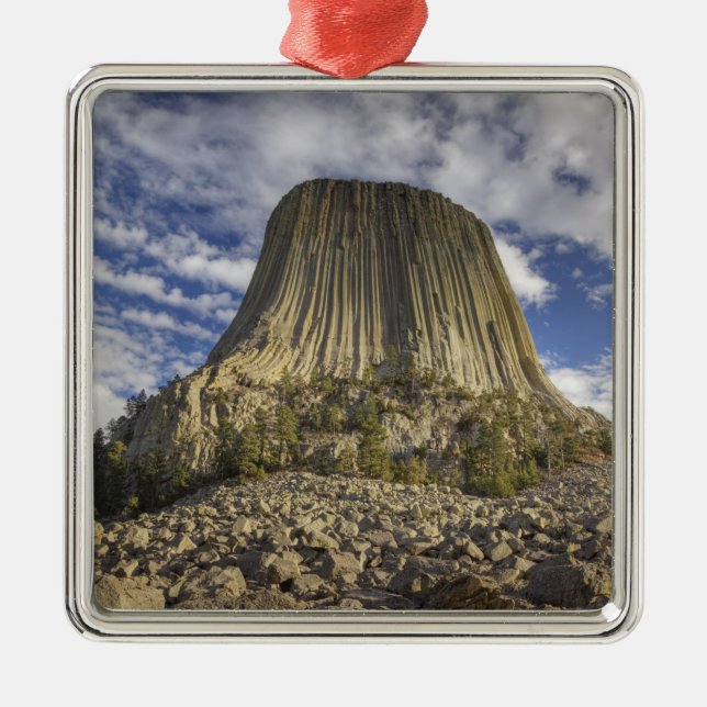 Devils Tower National Monument Silbernes Ornament (Vorne)