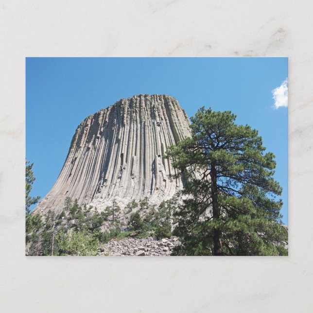 Devils Tower Wyoming Postkarte (Vorderseite)