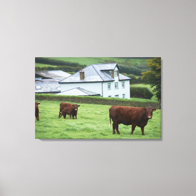 Devon, England Leinwanddruck (Vorderseite)