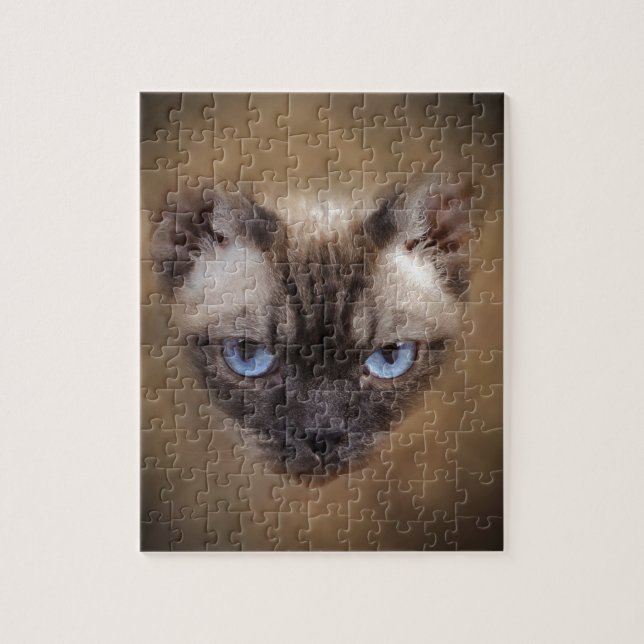 Devon Rex Katzengesicht (Vertikal)