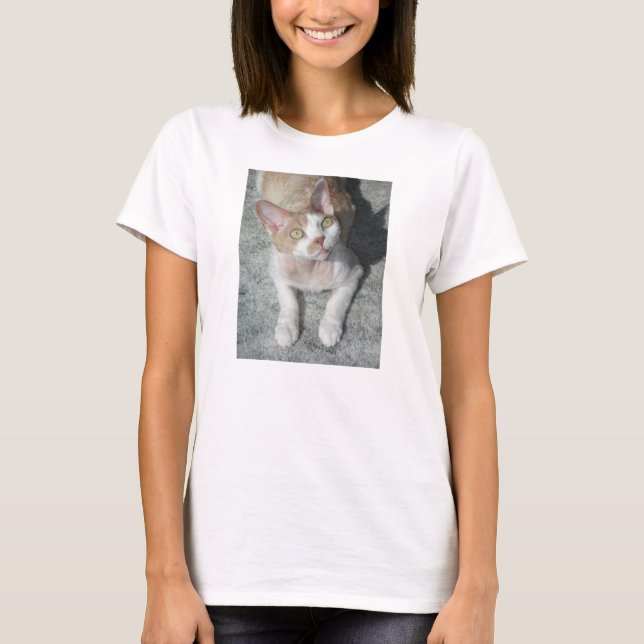 Devon Rex niedlich T-Shirt (Vorderseite)