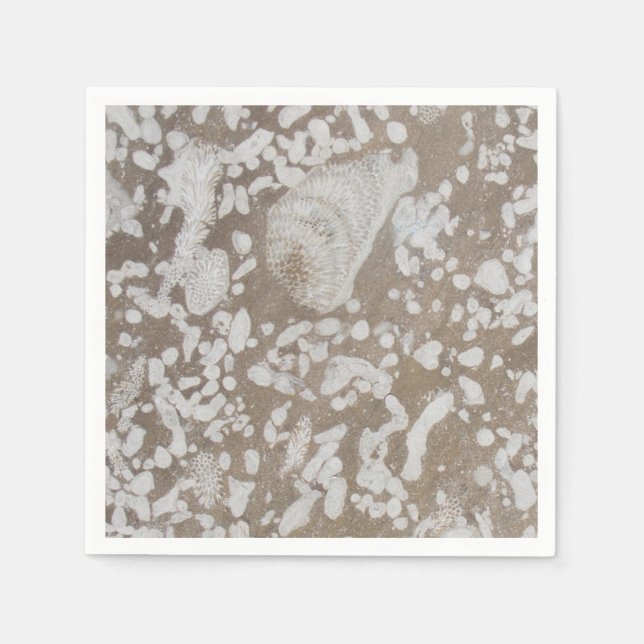 Devonian Fossil Gorge Serviette (Vorderseite)