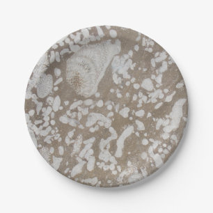 Devonian Fossil Paper Tellers Pappteller