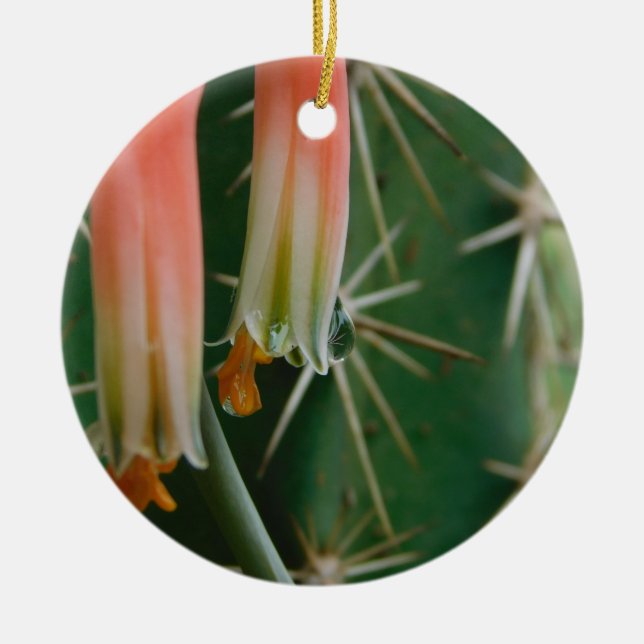 Dew auf Aloe Bloom Keramik Ornament (Vorne)